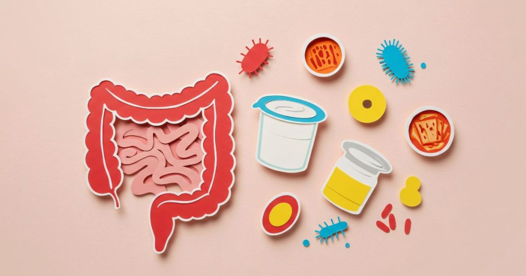 Alloe Desvenda Novos Horizontes